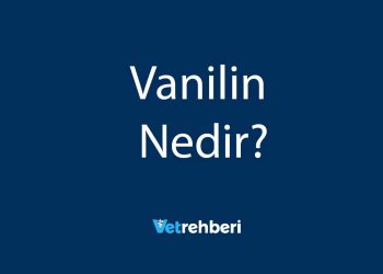 Vanilin Nedir?