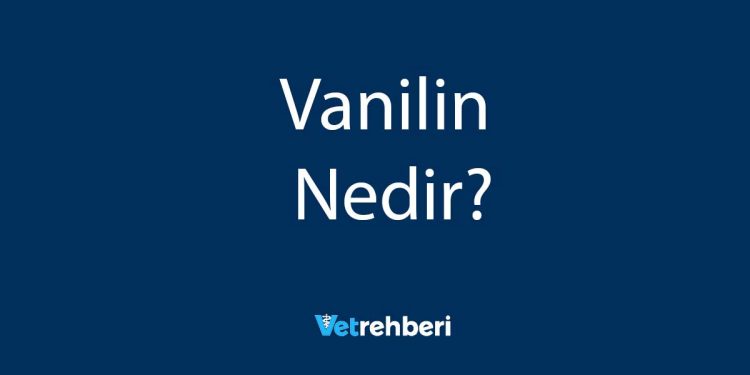 Vanilin Nedir?