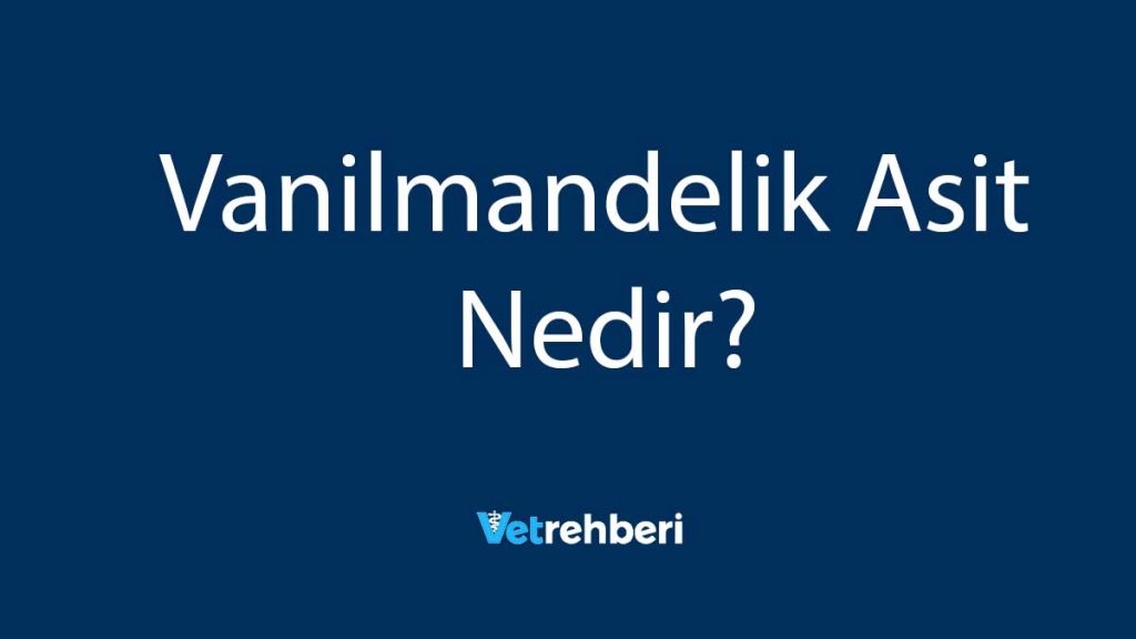 Vanilmandelik Asit Nedir?