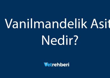 Vanilmandelik Asit Nedir?