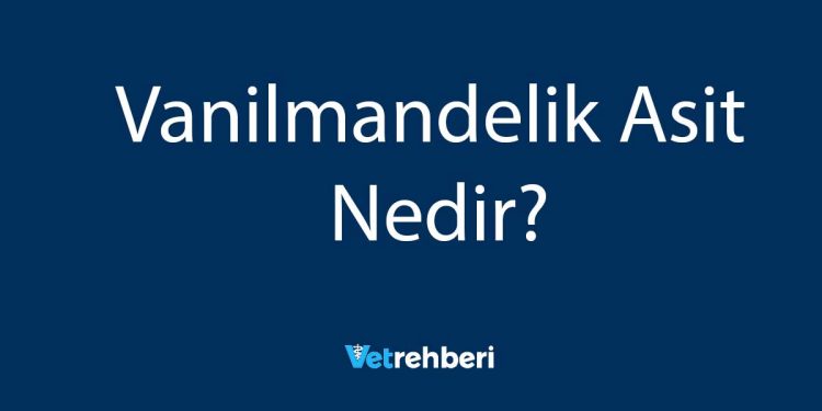 Vanilmandelik Asit Nedir?