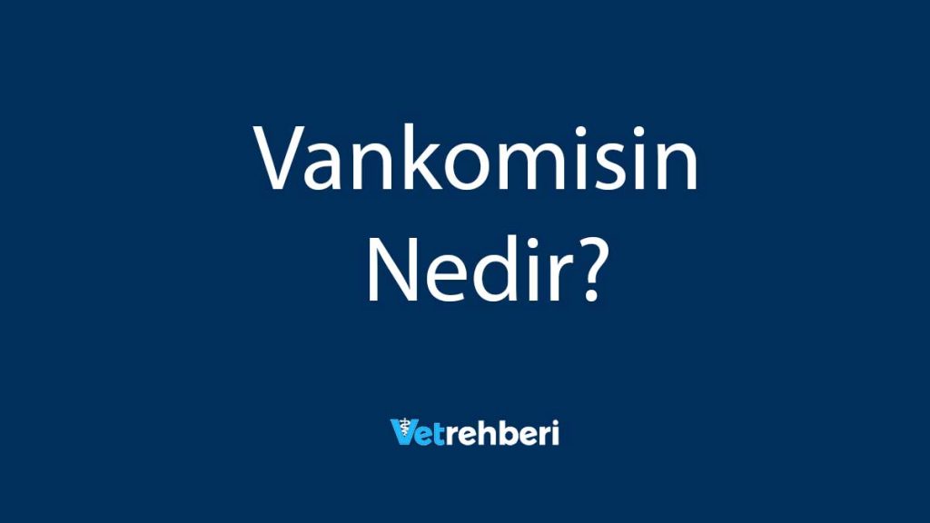 Vankomisin Nedir?