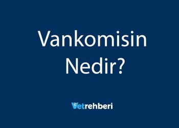 Vankomisin Nedir?