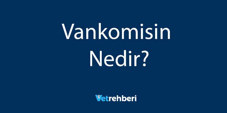 Vankomisin Nedir?