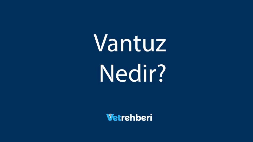 Vantuz Nedir?