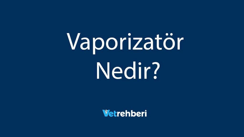 Vaporizatör Nedir?