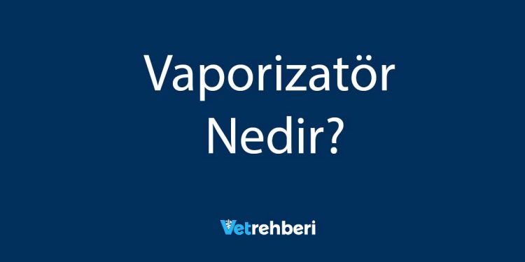 Vaporizatör Nedir?