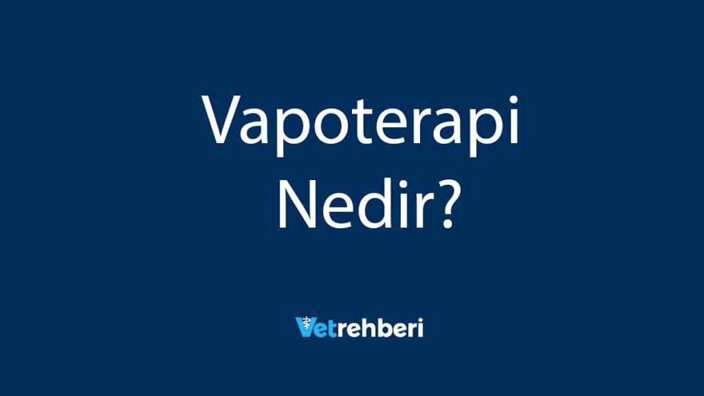 Vapoterapi Nedir?