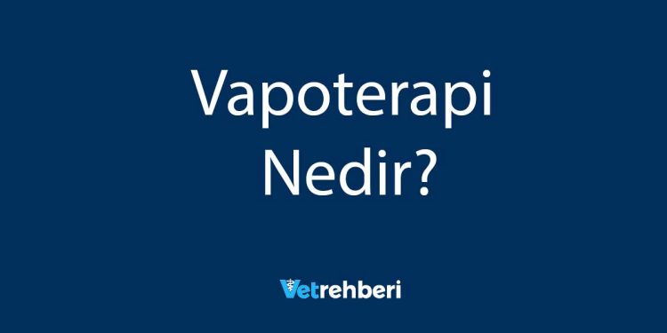 Vapoterapi Nedir?