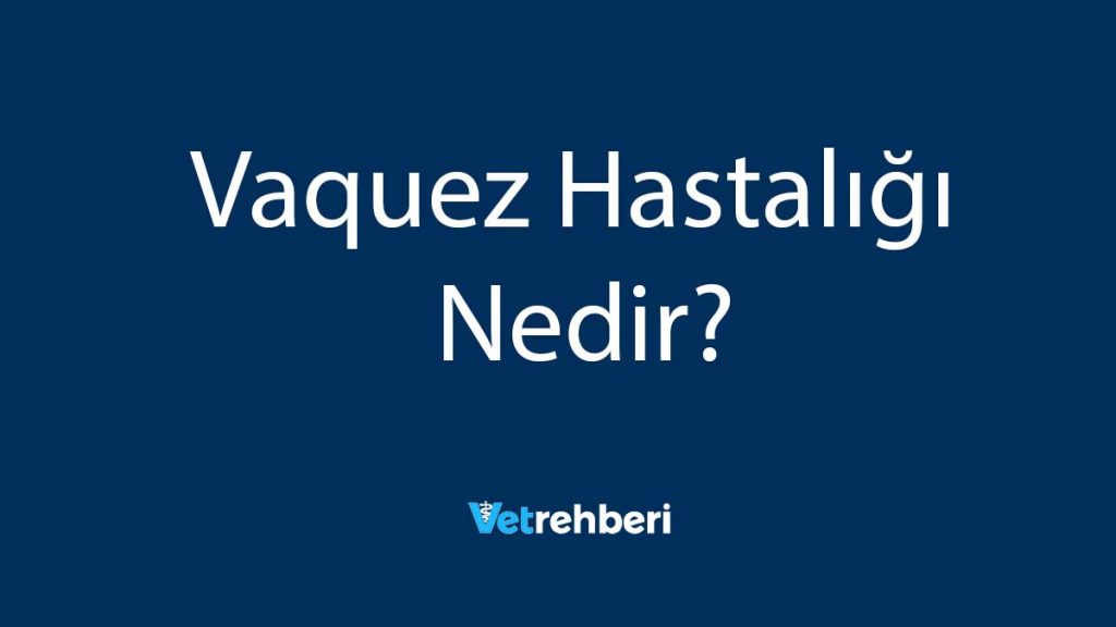 Vaquez Hastalığı Nedir?