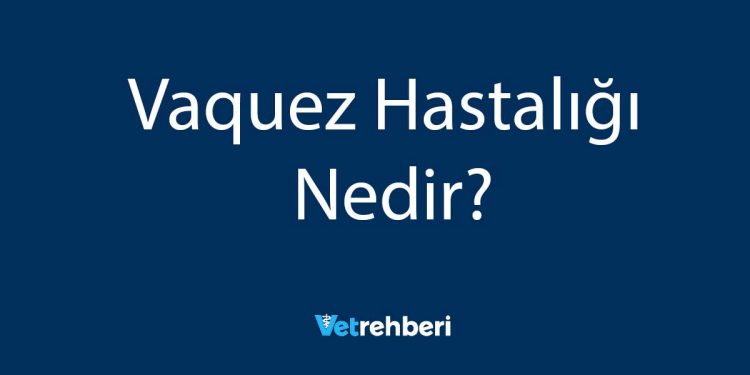 Vaquez Hastalığı Nedir?