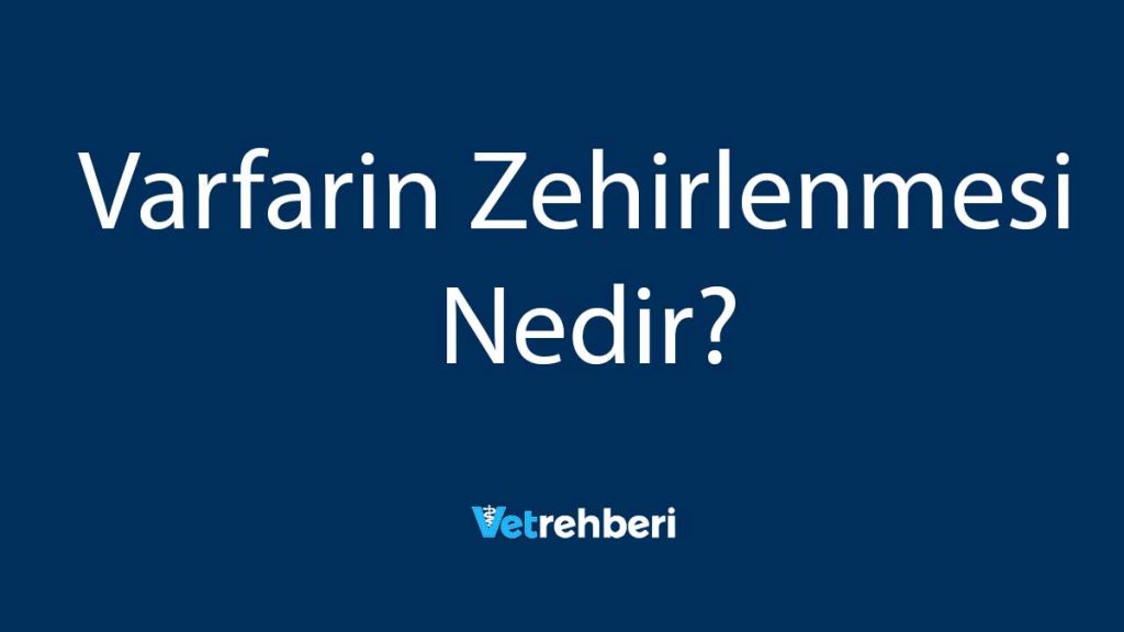 Varfarin Zehirlenmesi Nedir?