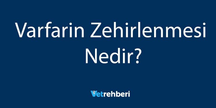 Varfarin Zehirlenmesi Nedir?