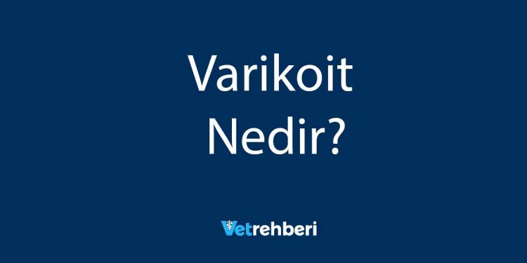 Varikoit Nedir?