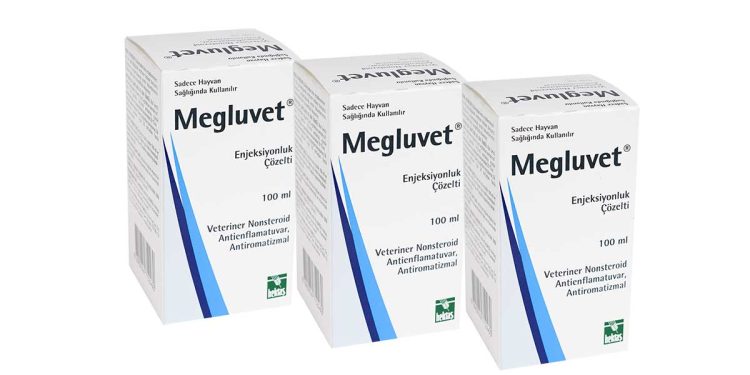 Megluvet