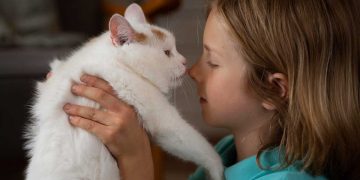 Kedinizle Bağ Kurma Rehberi