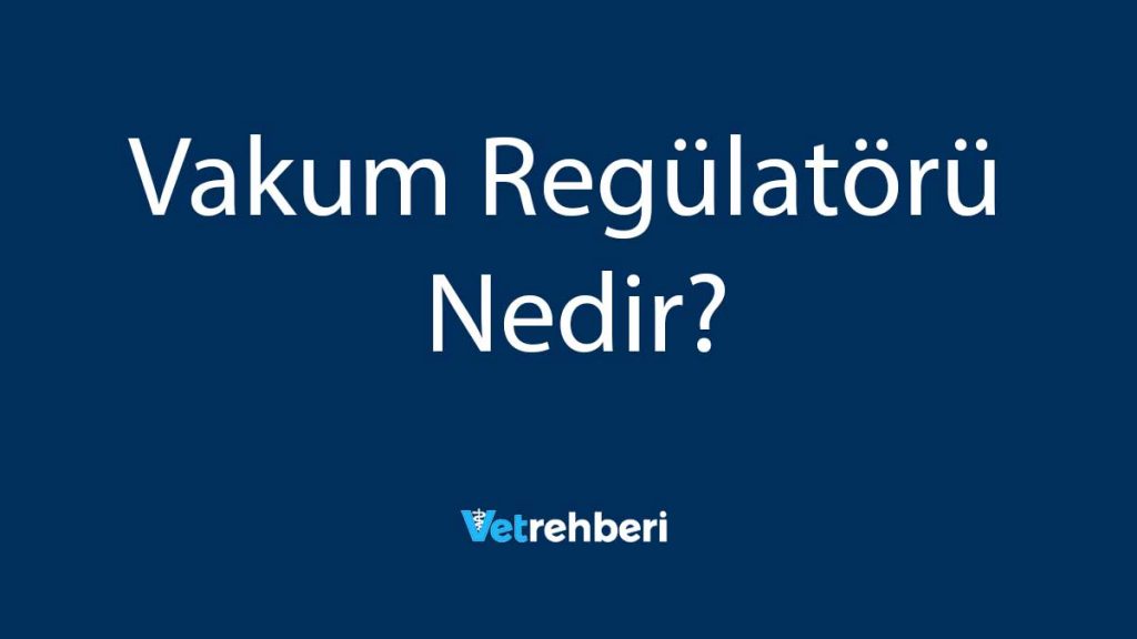 Vakum Regülatörü Nedir?