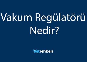 Vakum Regülatörü Nedir?