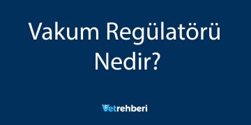 Vakum Regülatörü Nedir?
