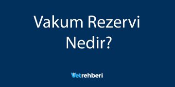 Vakum Rezervi Nedir?