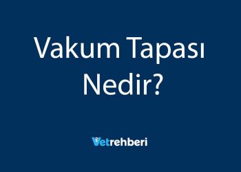 Vakum Tapası Nedir?