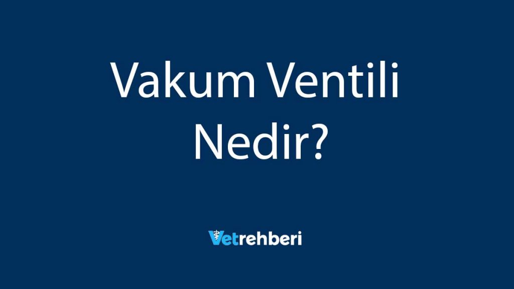 Vakum Ventili Nedir?