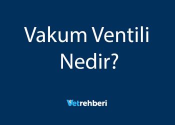Vakum Ventili Nedir?