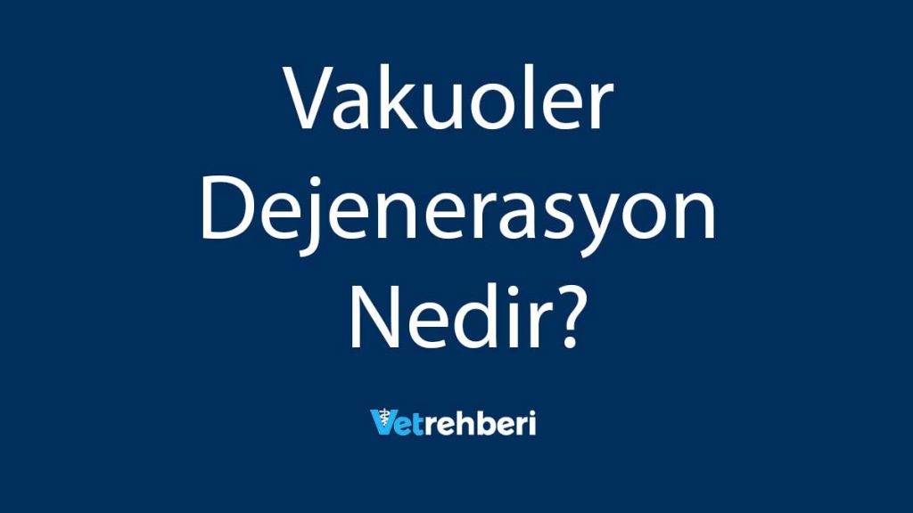 Vakuoler Dejenerasyon Nedir?