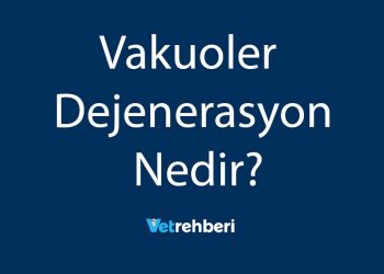 Vakuoler Dejenerasyon Nedir?