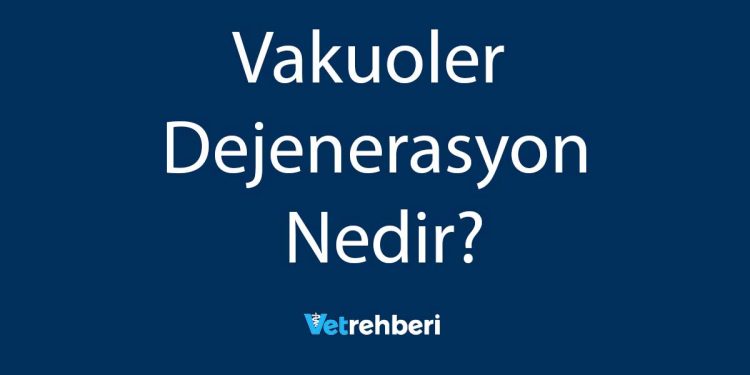 Vakuoler Dejenerasyon Nedir?