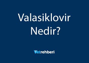 Valasiklovir Nedir?