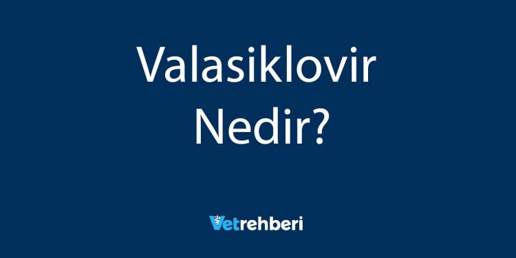 Valasiklovir Nedir?