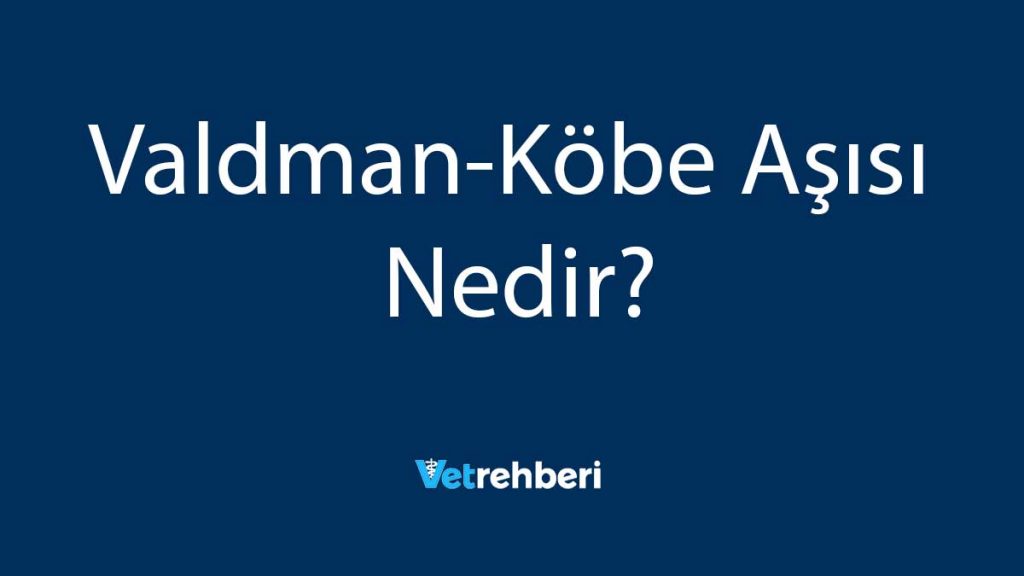 Valdman-Köbe Aşısı Nedir?