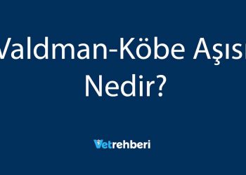Valdman-Köbe Aşısı Nedir?