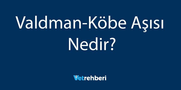 Valdman-Köbe Aşısı Nedir?