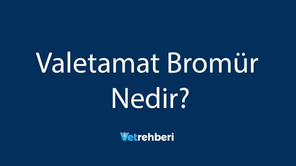 Valetamat Bromür Nedir?