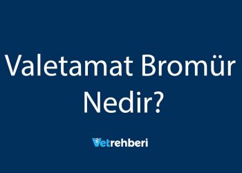 Valetamat Bromür Nedir?