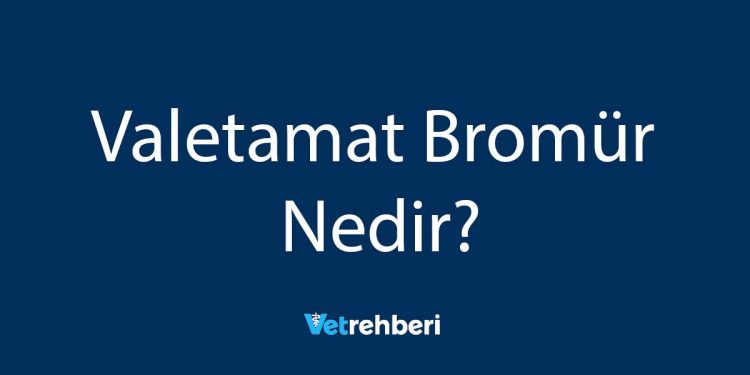 Valetamat Bromür Nedir?