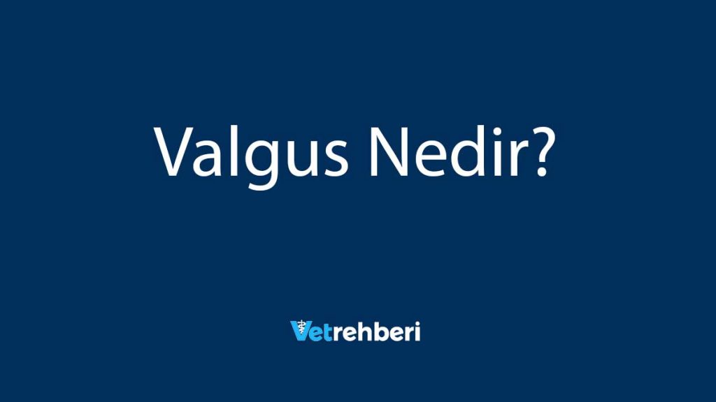 Valgus Nedir?