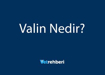 Valin Nedir?