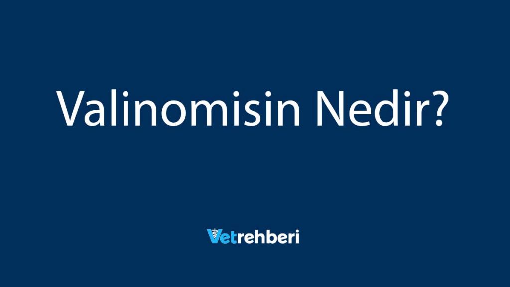 Valinomisin Nedir?