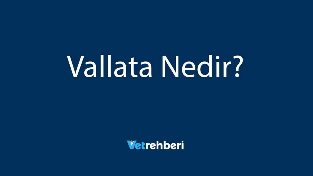 Vallata Nedir?