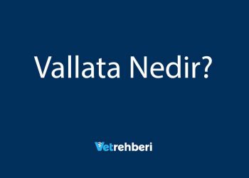 Vallata Nedir?