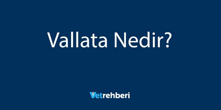 Vallata Nedir?