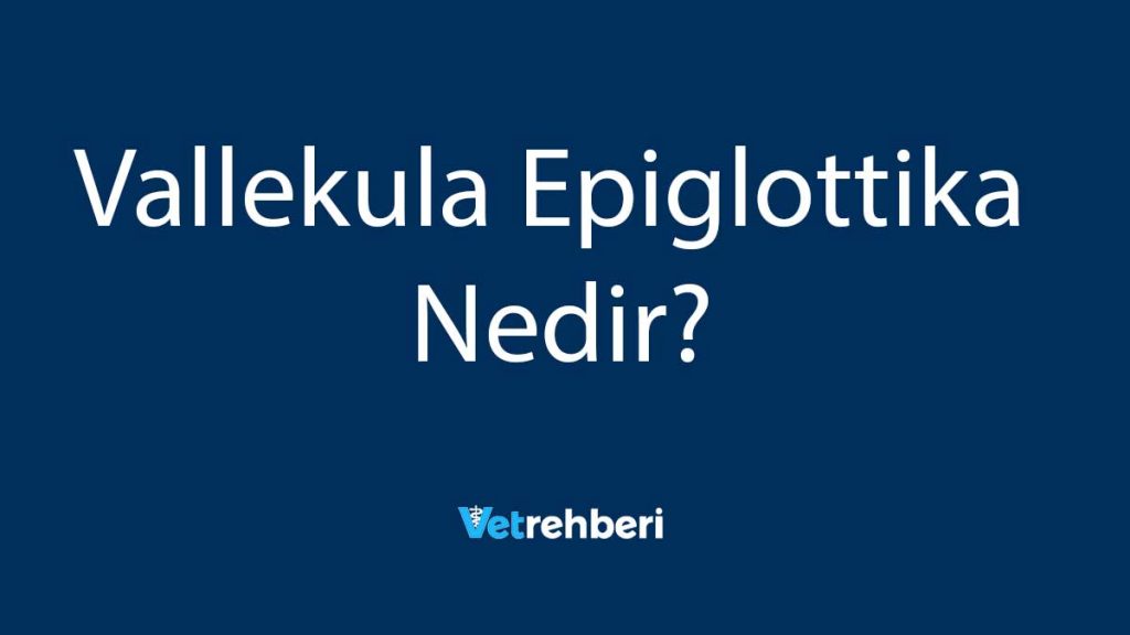 Vallekula Epiglottika Nedir?