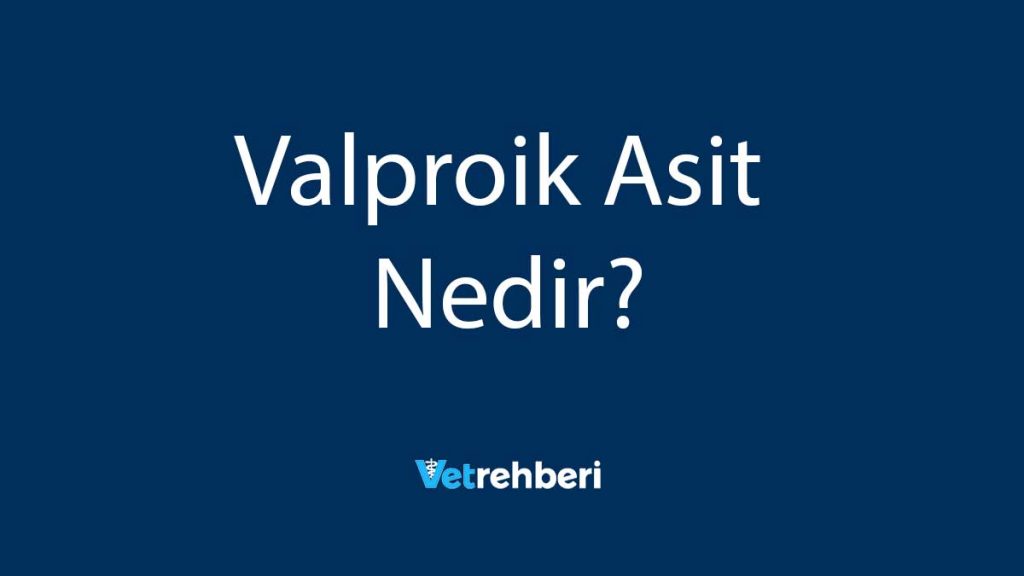 Valproik Asit Nedir?