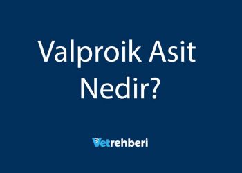 Valproik Asit Nedir?