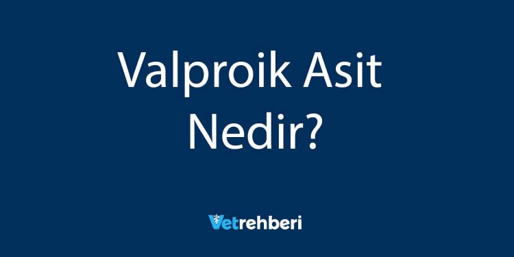 Valproik Asit Nedir?