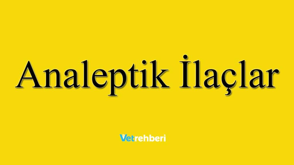 Analeptik İlaçlar