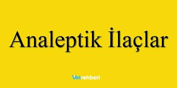 Analeptik İlaçlar